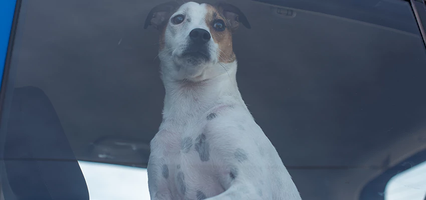 Car Lockout Solutions in La Riviera, California